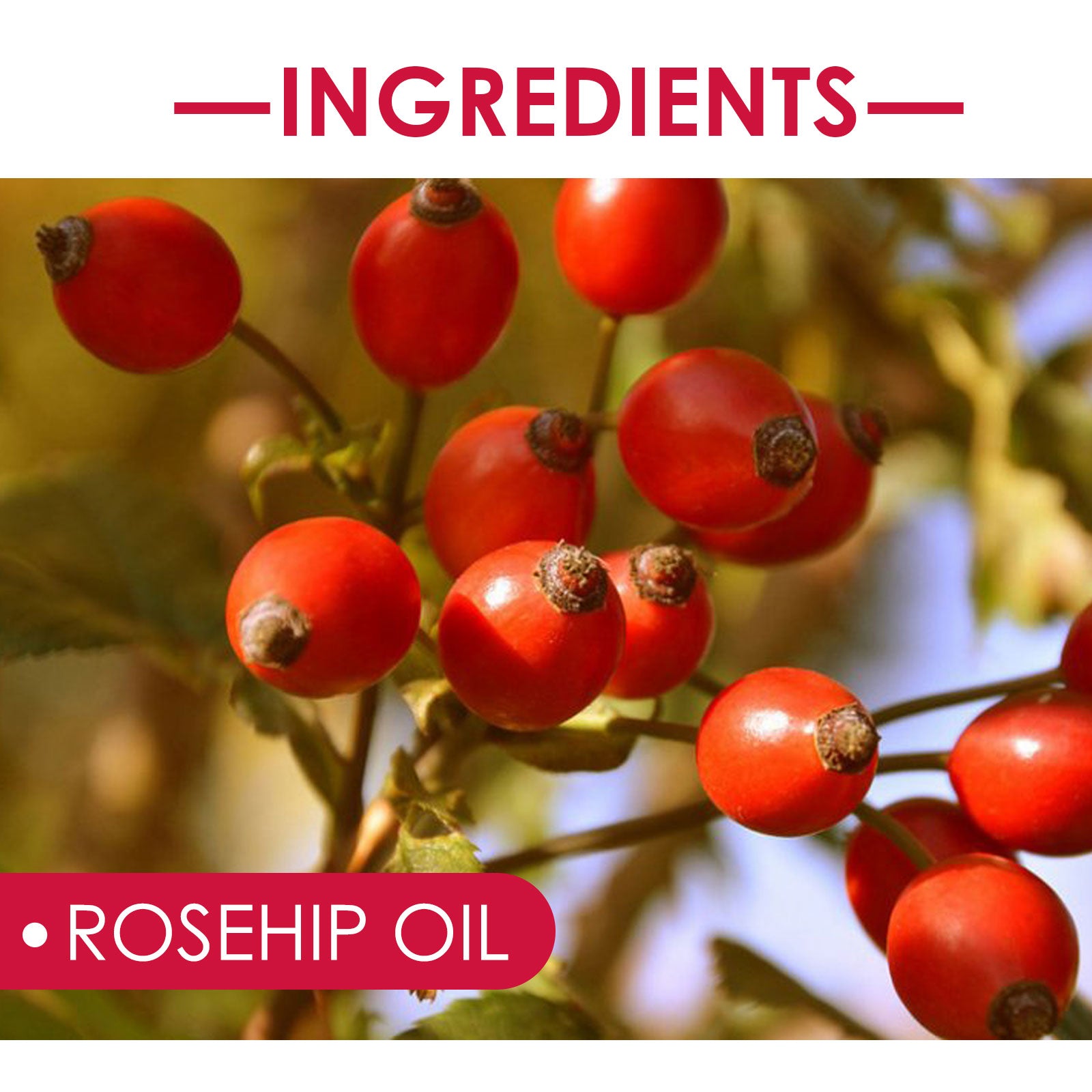 Rose Hip Essential Oil Face Body Hair Care
