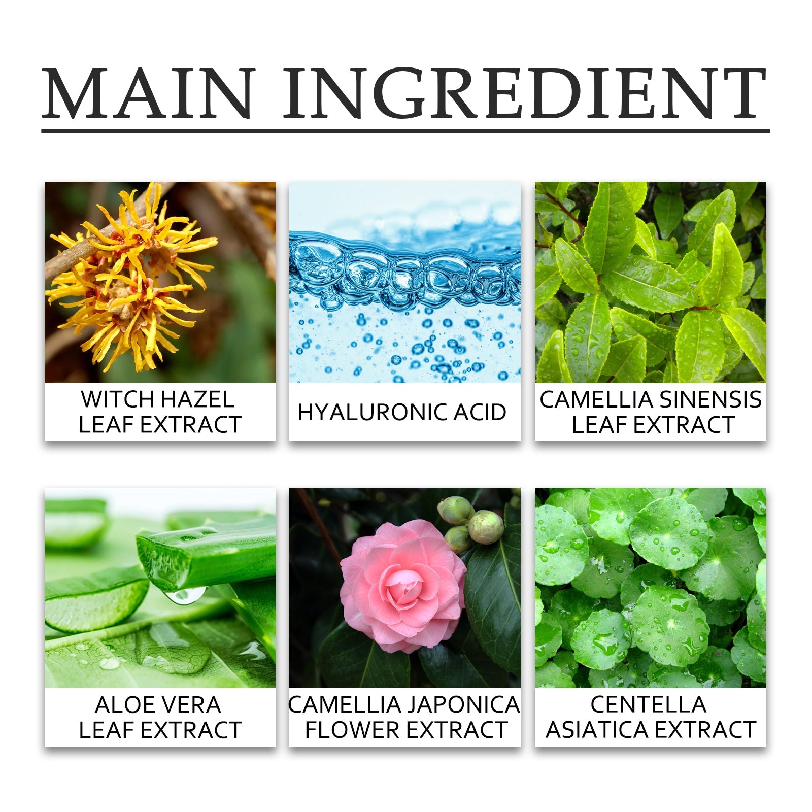 Green Tea Moisturizing Toner Hydrating Facial Care